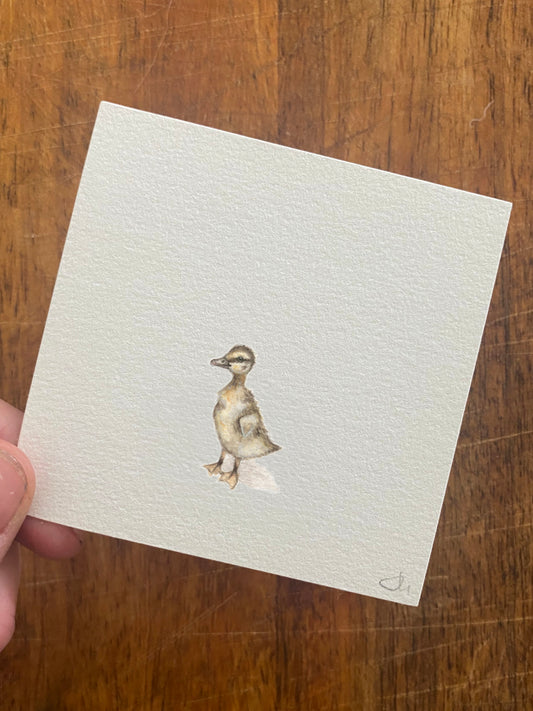 Tiny Woodland Series Duckling - Unframed