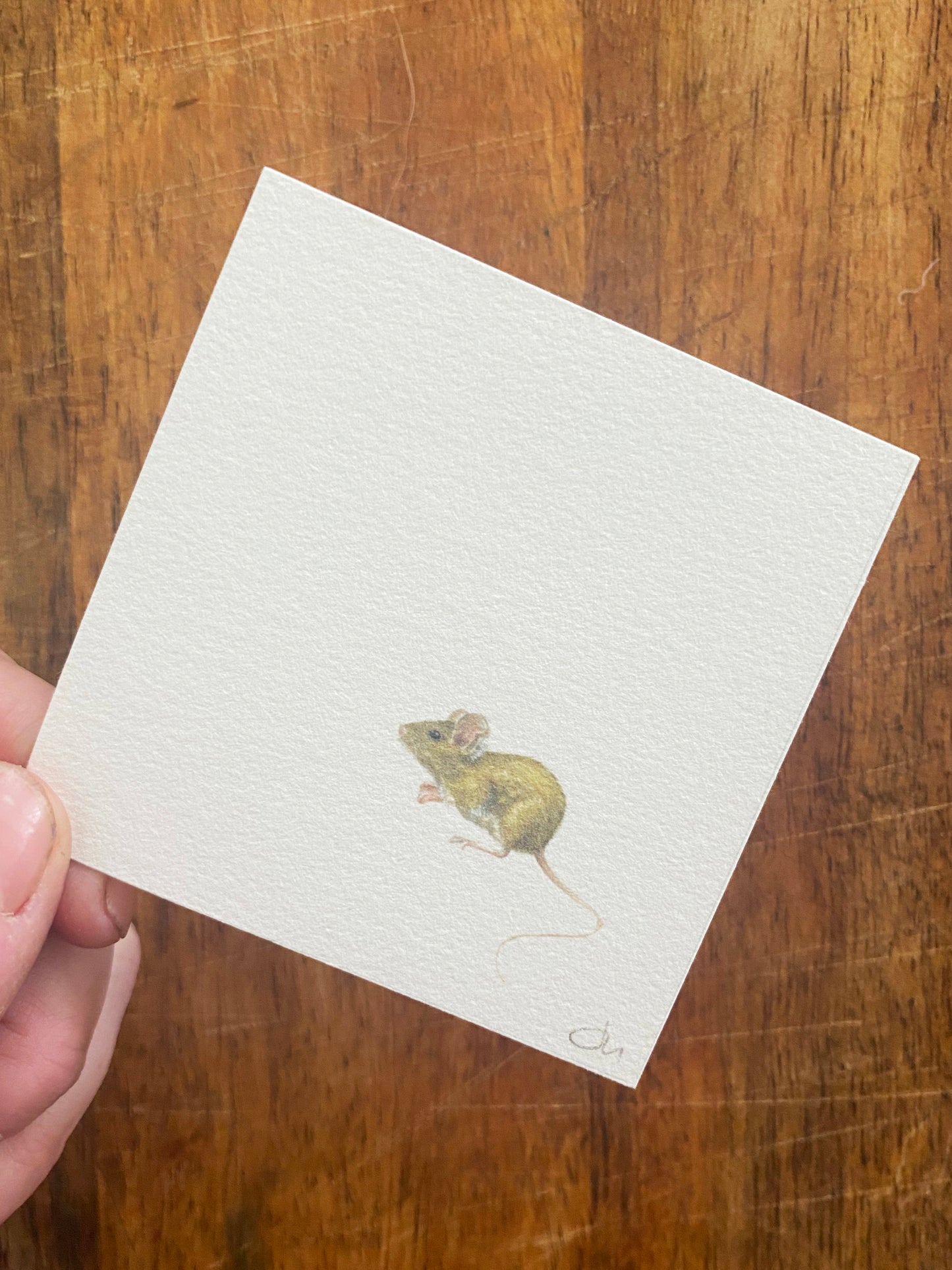 Tiny Woodland Series Field Mouse - Unframed