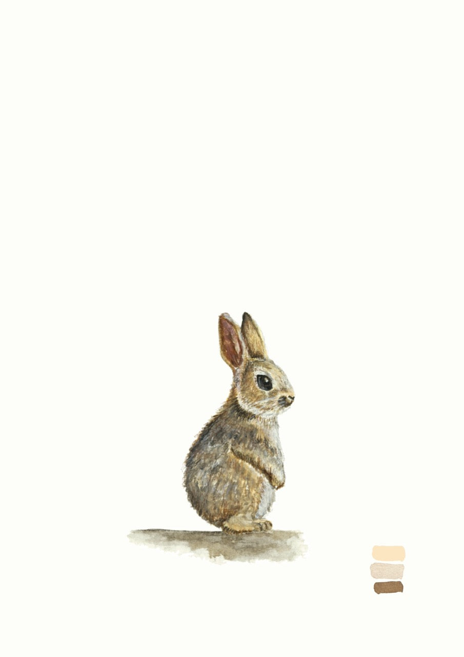 Jacqueline Grace Limited Edition I The Bunny I Fine Art Print