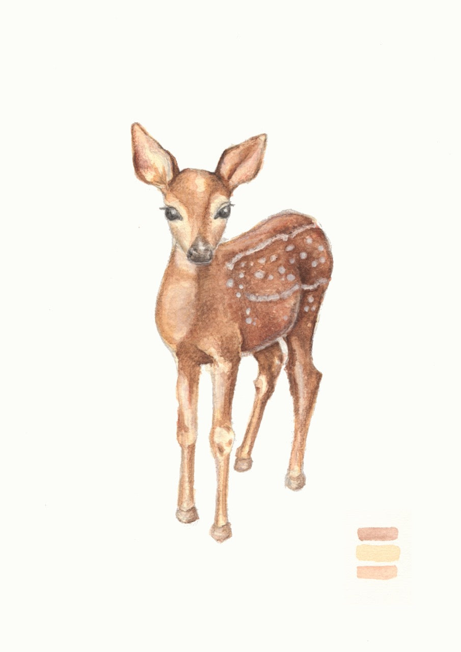 Jacqueline Grace Limited Edition I The Deer I Fine Art Print