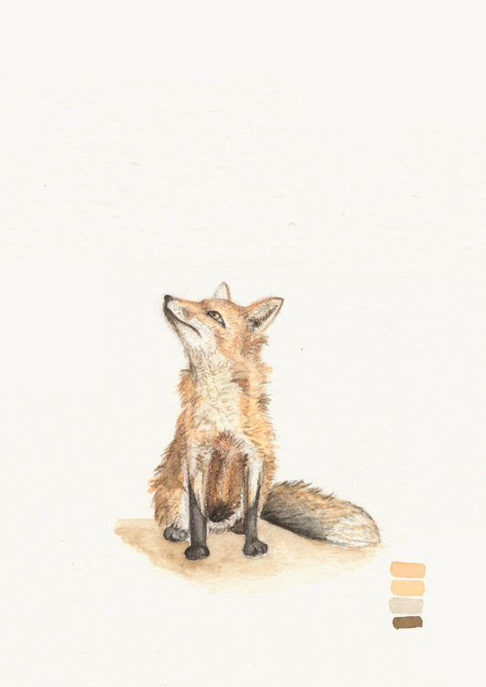 Jacqueline Grace Limited Edition I The Fox I Fine Art Print