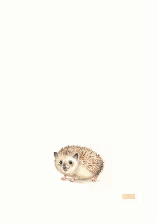 Jacqueline Grace Limited Edition I The Hedgehog I Fine Art Print