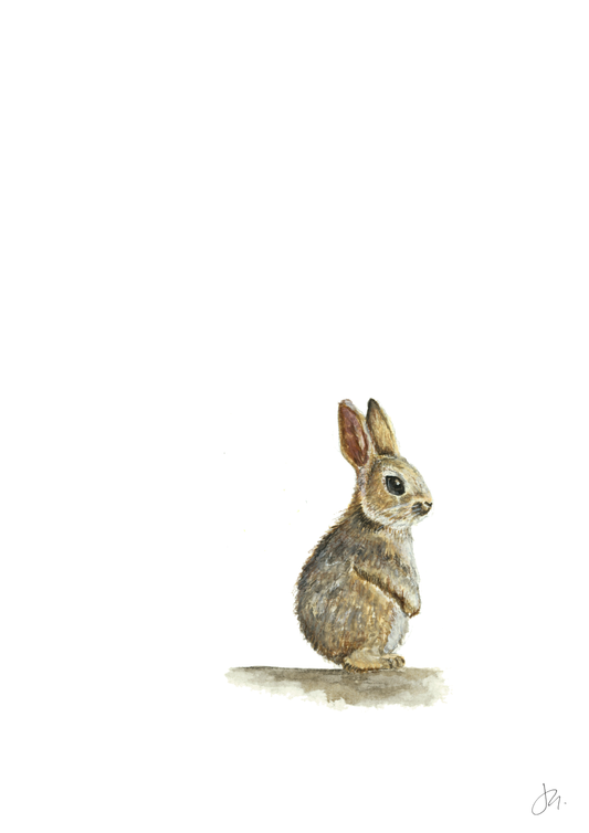 Watercolour Bunny | Woodland Series I Unframed