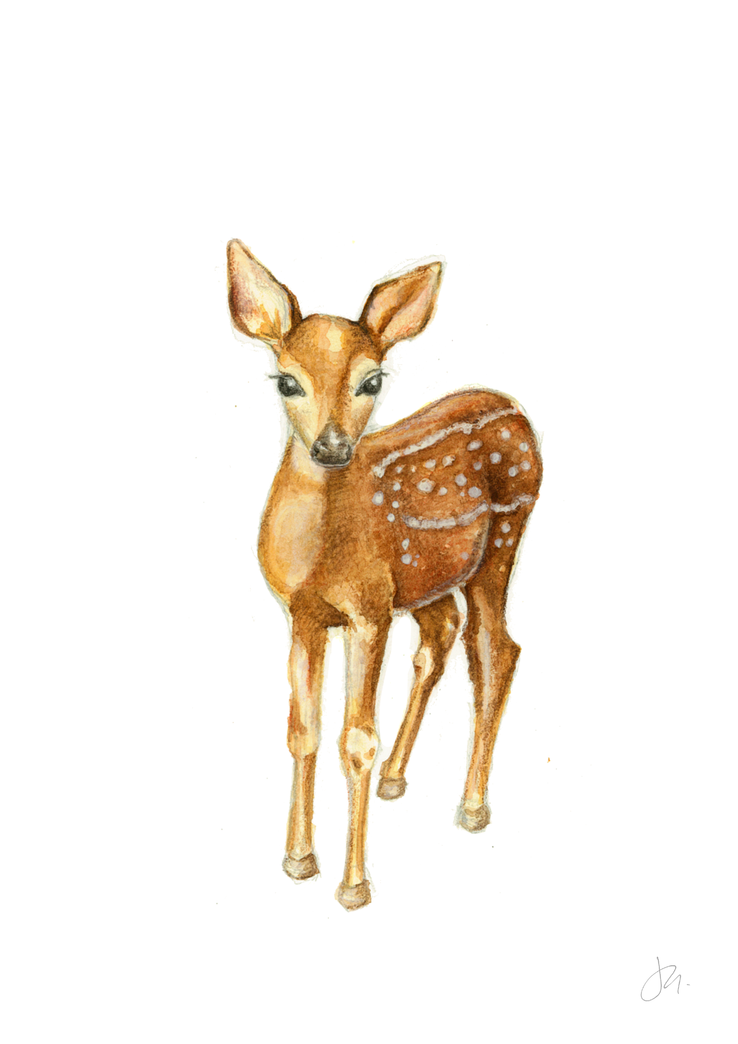 Watercolour Deer | Woodland Series I Unframed