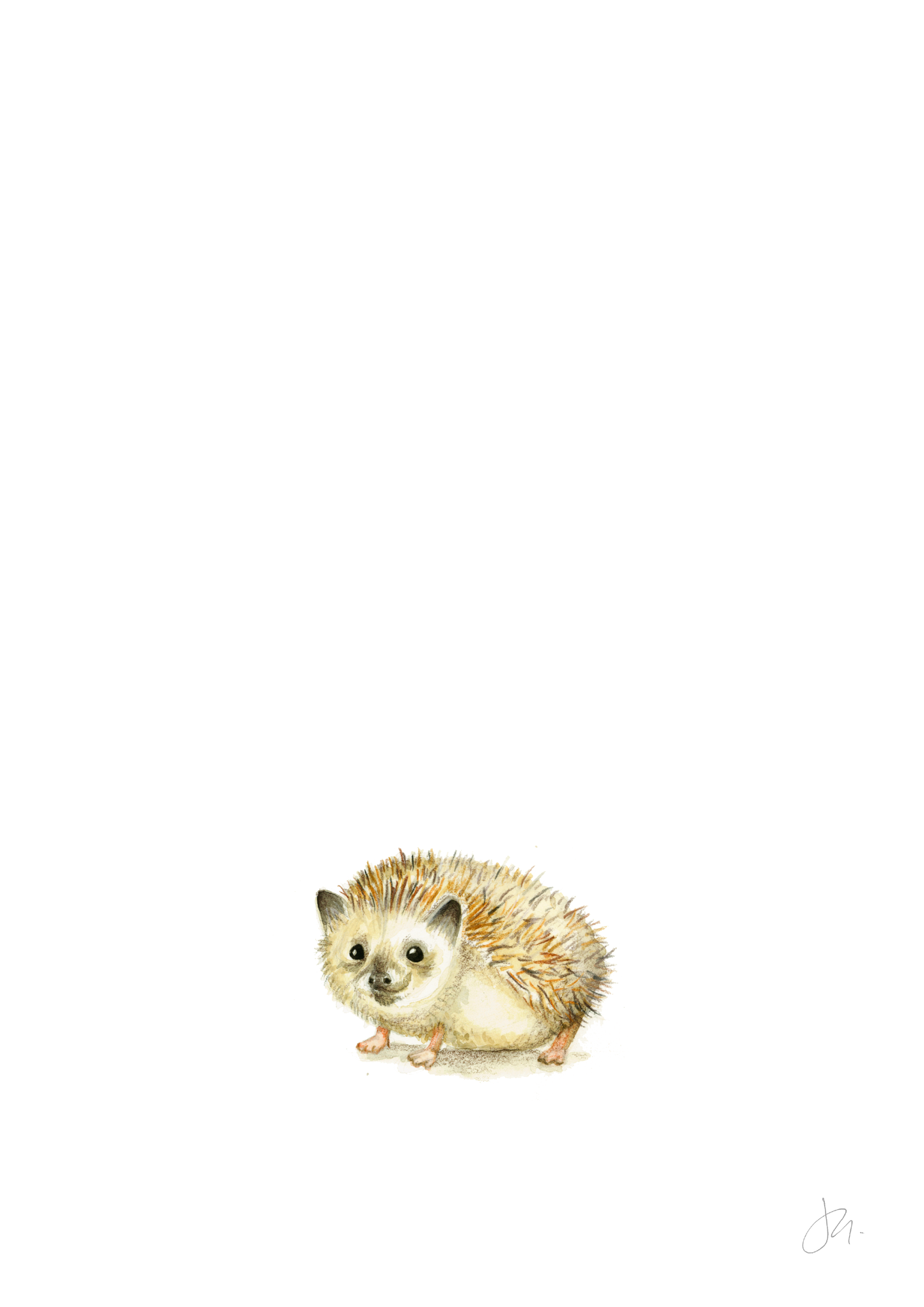 Watercolour Hedgehog | Woodland Series I Unframed