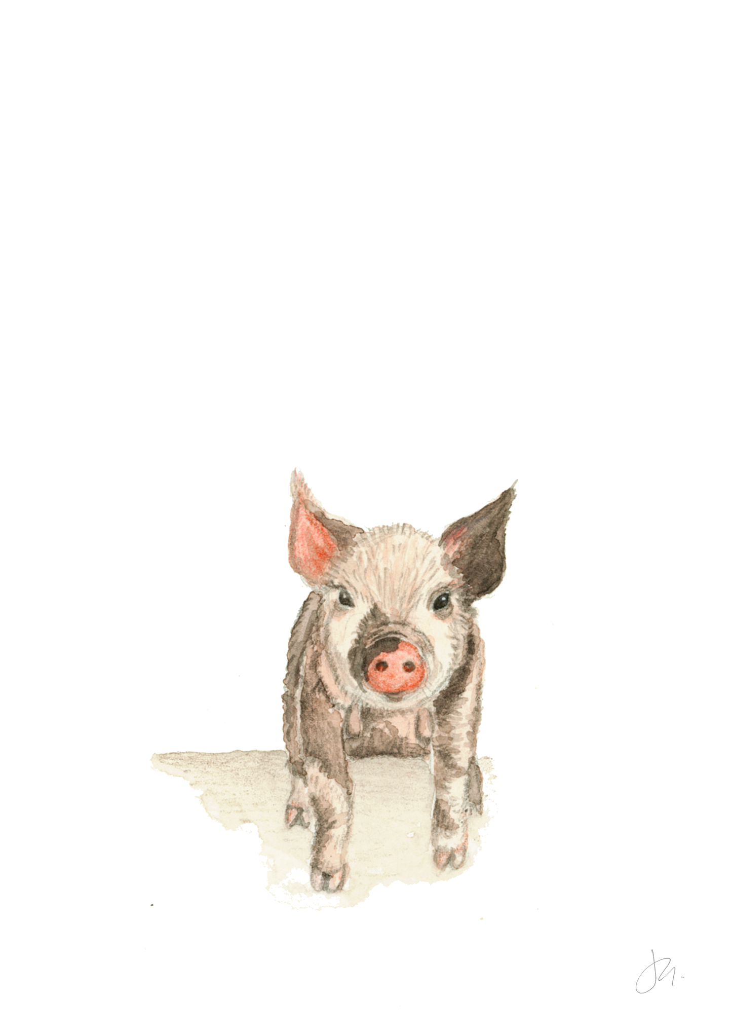 Watercolour Pig | Woodland Series I Unframed