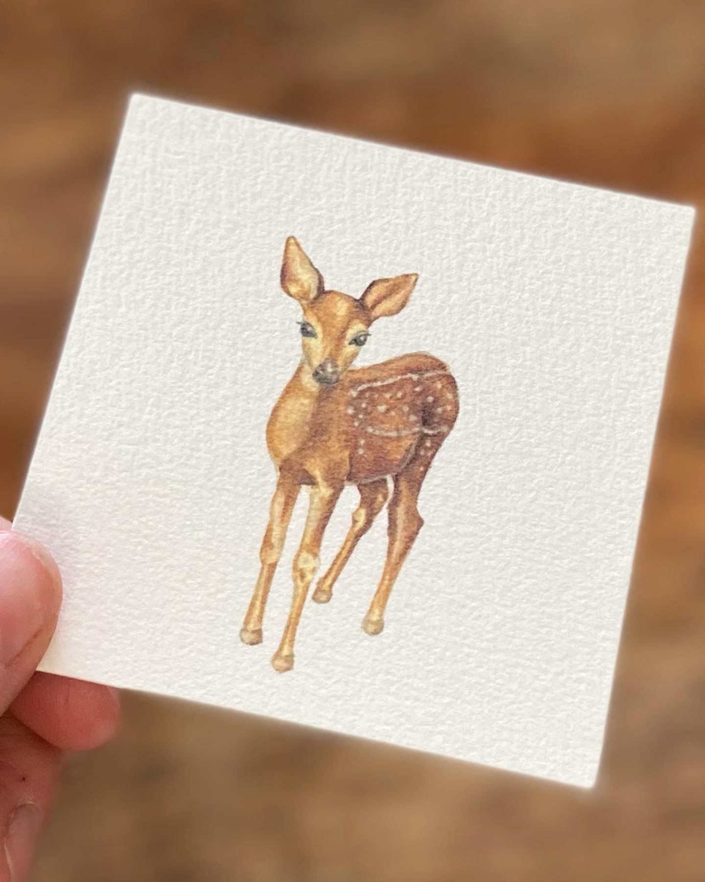 Tiny Woodland Series Deer - Unframed