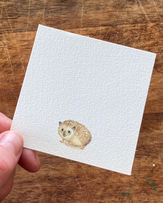 Tiny Woodland Series Hedgehog - Unframed